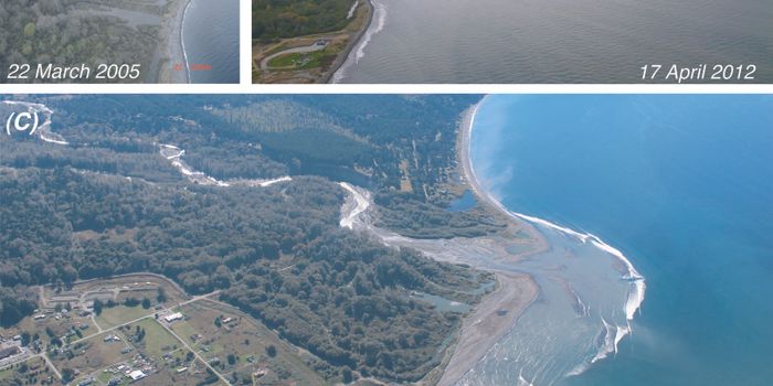 New Study Shows That Rivers And Streams Snap Back Quickly When Dams Are Removed