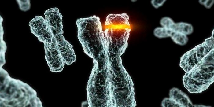 A Migraine Associated Specific Mutation Increases Neuronal Excitability