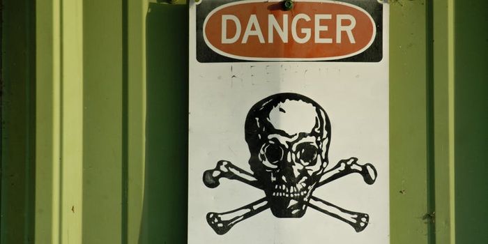 Toxic Metals and Cardiovascular Risk