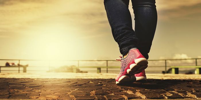 Study Provides Dependable Method Of Calculating Exercise Intensity For Walkers
