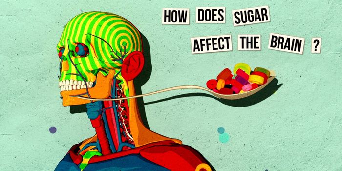 How sugar affects the brain