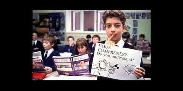 Brain Activity and Language Learning