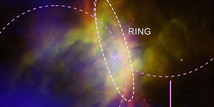 "Stellar Feedback" Limits Star Formation