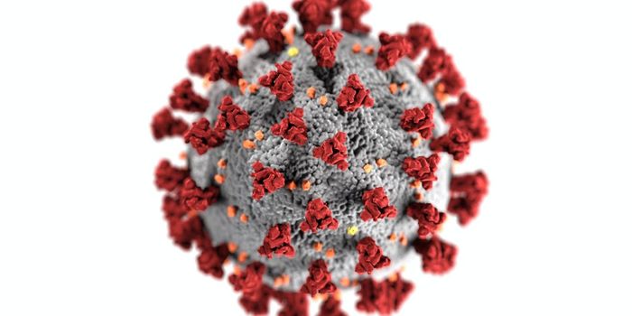 New Drug May Reduce Inflammation from COVID-19