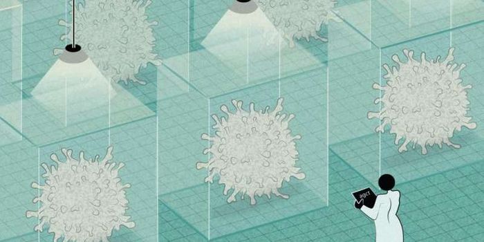 The Immunological Dialogue Behind Autoimmune Disease