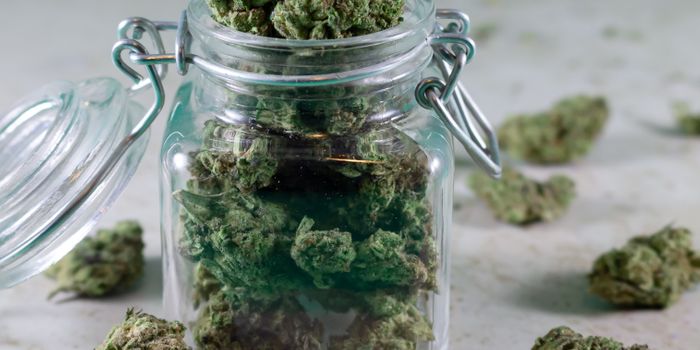 Cannabis Crystal Polymorphism