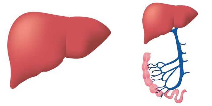 Targeted radiation therapy may provide new hope to children with difficult-to-treat liver cancer