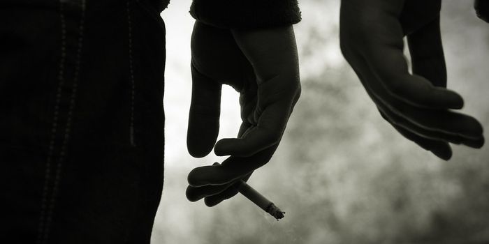 Brain Scans Predict Risk of Future Drug Abuse in Teens