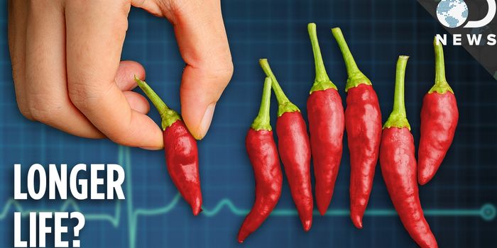 Hot Peppers For Longevity?