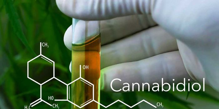 Clinical Trial for Cannabidiol Effect on Hyperphagia in Affected Individuals with Prader-Willi Syndrome