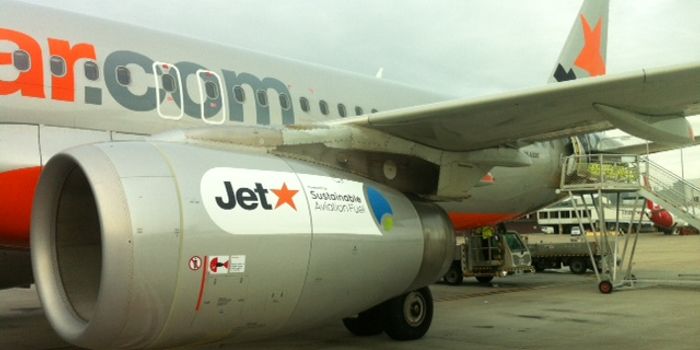 Could Plant-Based Fuels Power a Plane?