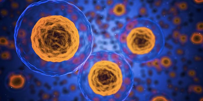 How T Cells Get Some Much-Needed Rest