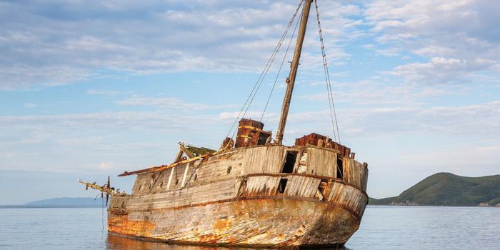 Shipwrecks are Rich with Microbial Diversity