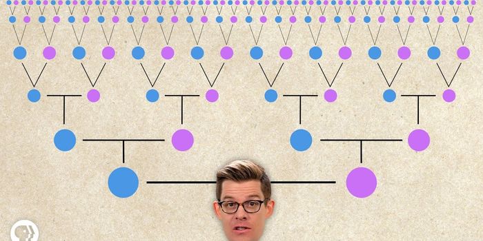 Are all humans related?