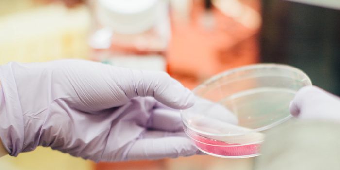 Self-Destructing Cancer: Study Stops Chain Reaction of Tumor Growth