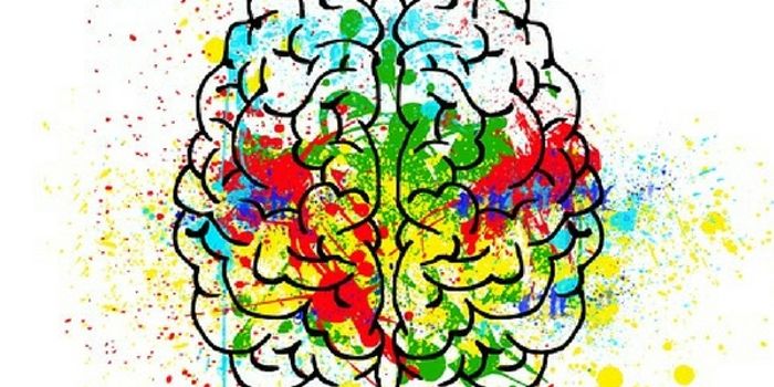 Brain Death: Can It Be Reversed?