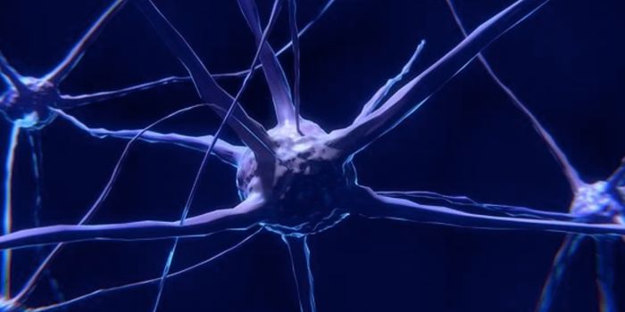 In a First, Bach1 Protein Linked to Parkinson's, Revealing Potential Treatment