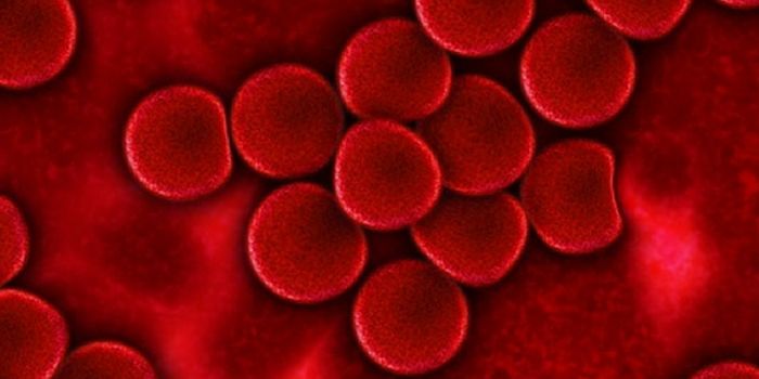 How Cells Get Reprogrammed to Spread Cancer