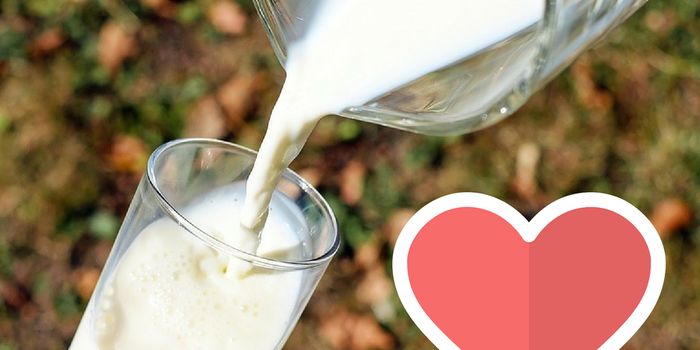Calcium for a Healthy Heart