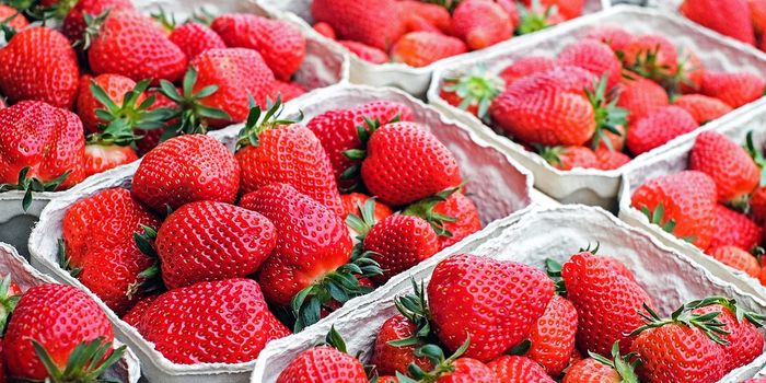 Strawberry Extract Reduced Breast Tumor Size in Mice