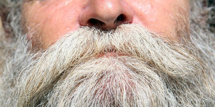 Yes, Stress Can Turn Your Hair Gray