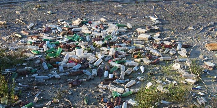 Plastic Pollution Disrupts Critical Oxygen-generating Microbes