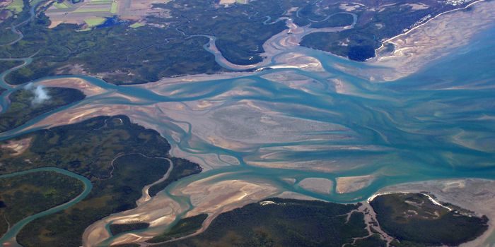 Generating Power from Estuaries