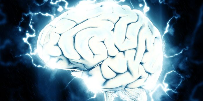 Imaging Reveals Toxic Mercury Uptake in Mammalian Brains