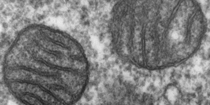 Post-Trauma Treatment Relieves System-Wide Immune Reaction