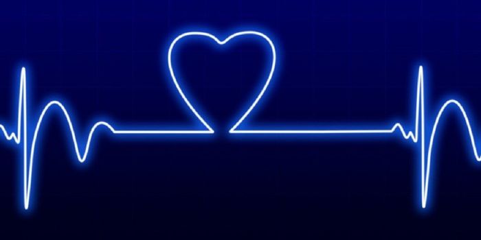 Creating a Light Switch in the Heart to Regulate Heart Rate