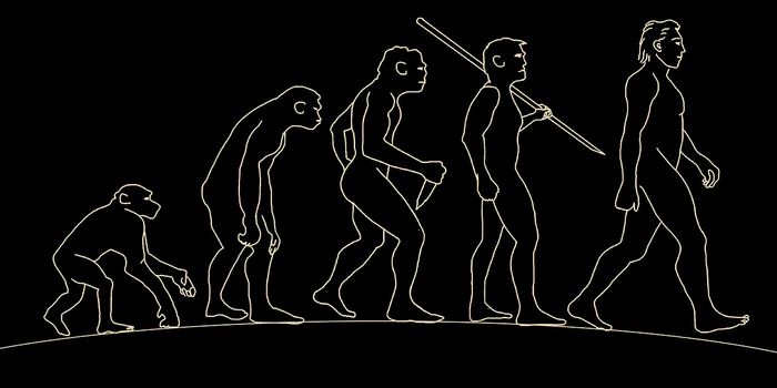 The Top 5 Human Evolution Discoveries of 2022