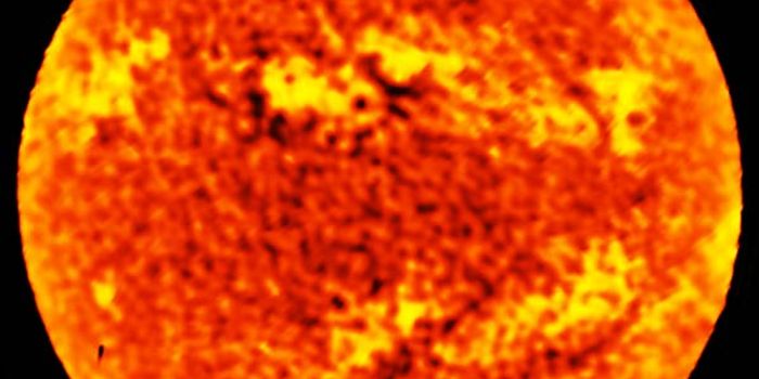 ALMA Observes the Sun in a New Light