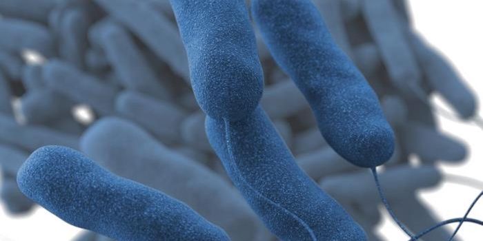 How an Emerging Pathogen Takes Control of Host Immunity