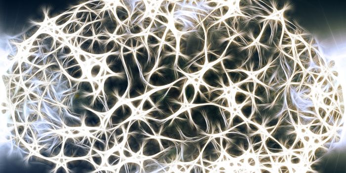 New Method Maps Glucose Metabolism in the Brain without Radiation