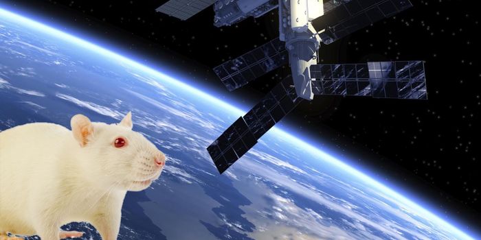 Could Space Visits Cause Skin Atrophy for Astronauts?