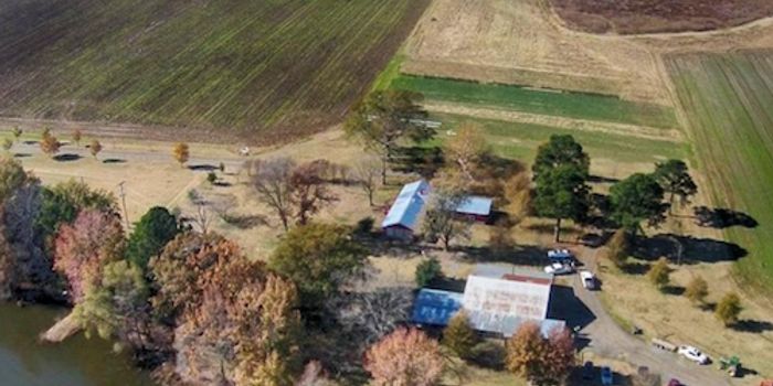 Feeding the World, With Help From Microbes