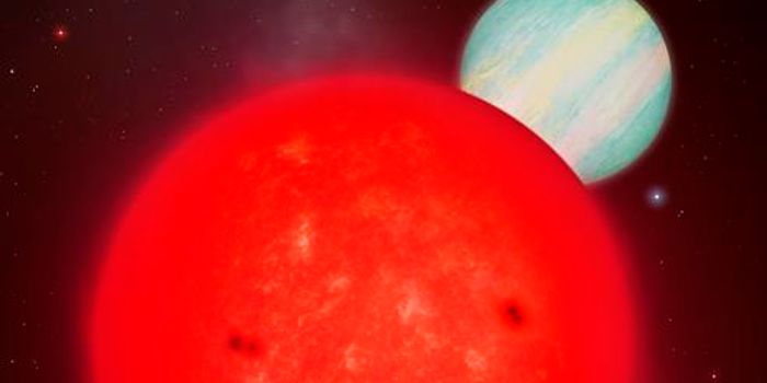 Small Star, Big Planet: TOI-6894b Defies Expectations