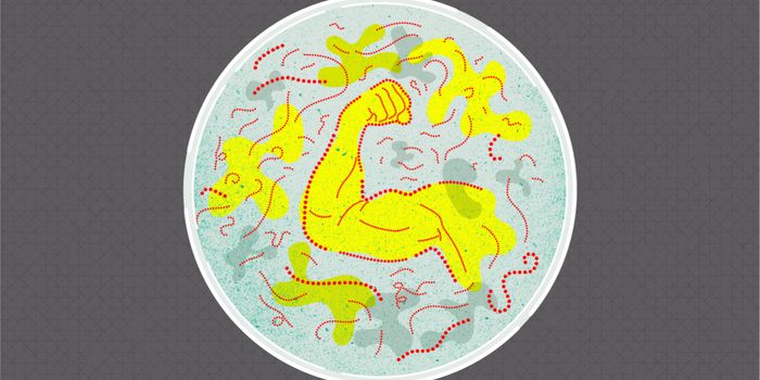 Socialist Bacteria Resist Antibiotics