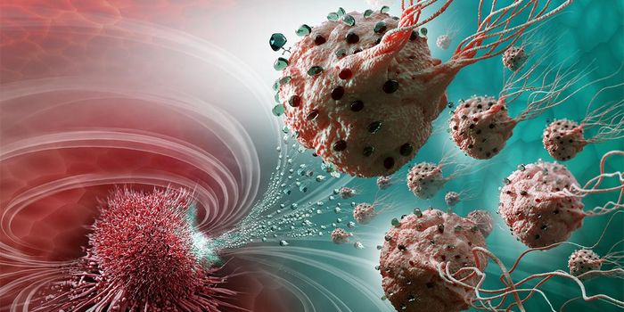 Magnetic Bacteria Ferry Chemo Drugs to Resistant Tumors