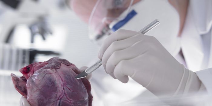 "Cyborg Heart Patch" Technology to Treat Heart Failure