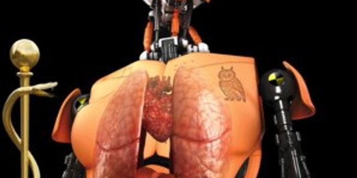 Human-Like System May Improve Drug and Chemical Toxicity Screening