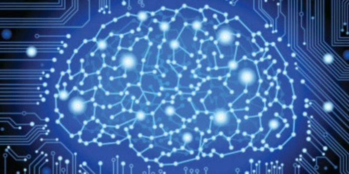 Medical Research Program Ranks Neuroscientists