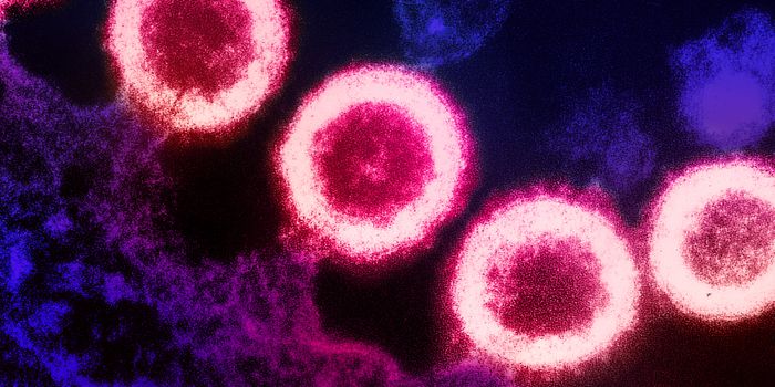 Unprecedented Analysis of HIV Reservoir Cells Reveals Unique Properties