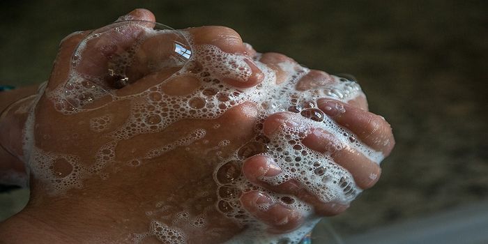 Effectiveness of Different Hand-Drying Methods on Reducing Bacteria on Washed Hands