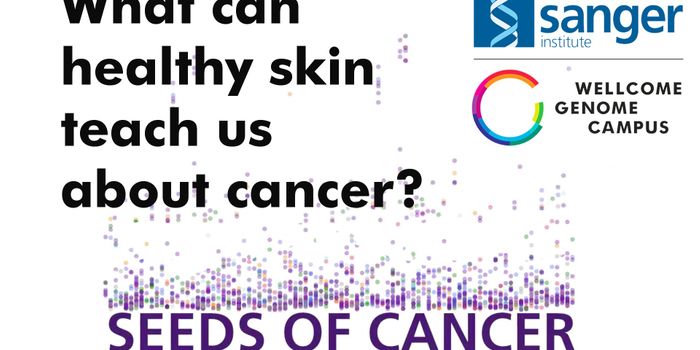 New Study Sheds Light on Cancer Development Due to Sun Exposure