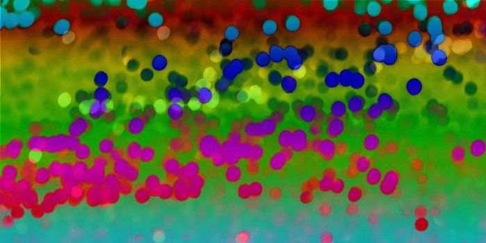 Scientists Detect Signatures of Life on Earth Remotely