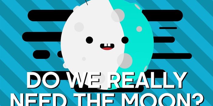 What is Earth Without Moon?