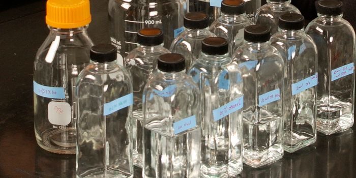 Scientists Get Closer to Knowing Why Water is Essential