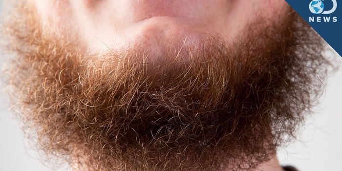 Study: the more beards there are, the less attractive beards are.