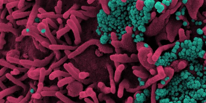 COVID Long-Haulers Get Official Recognition